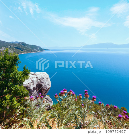 Summer sea coastline view (Croatia) Summer sea coastline view (Croatia) 109772497