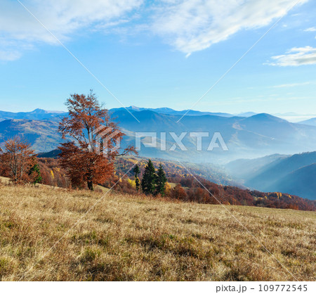 Golden autumn in mountain. 109772545
