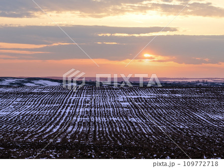 Black earth, arable land covered with the last snow, early spring. Calm evening sunset in the Ukrainian countryside, Lviv region. Black earth, arable land covered with the last snow, early spring. Calm evening sunset in the Ukrainian countryside, Lviv region. 109772718