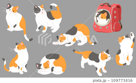 シンプルで可愛い色々なポーズの三毛猫のイラストセット 主線なし シンプルで可愛い色々なポーズの三毛猫のイラストセット 主線なし 109773816