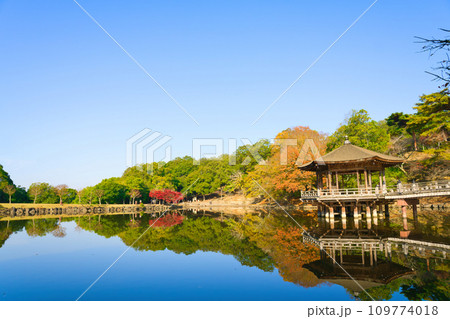 【奈良県】11月・紅葉で綺麗な奈良公園の浮見堂 109774018