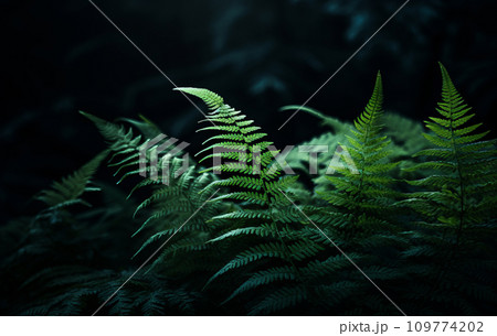 AI-generated content. Green natural bright background for your projects with lots of fern leaves 109774202