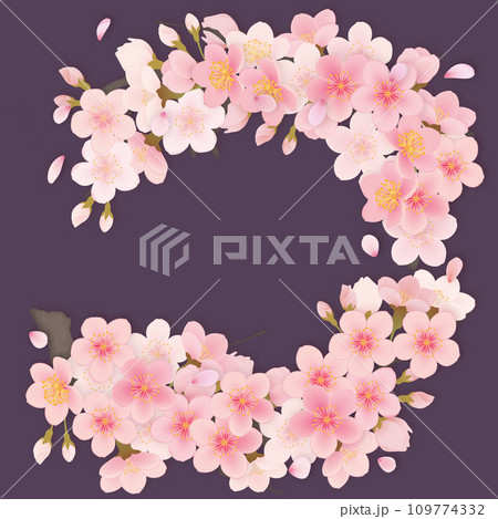 ソメイヨシノ 桜 花 フレーム素材 ソメイヨシノ 桜 花 フレーム素材 109774332