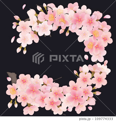 ソメイヨシノ 桜 花 フレーム素材 ソメイヨシノ 桜 花 フレーム素材 109774333