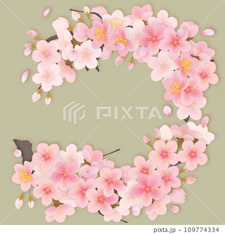 ソメイヨシノ 桜 花 フレーム素材 ソメイヨシノ 桜 花 フレーム素材 109774334