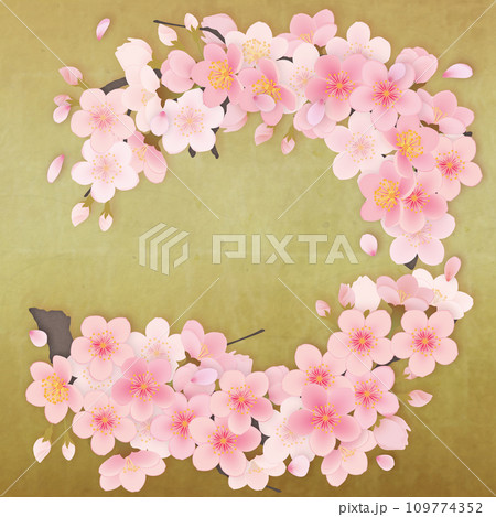 ソメイヨシノ　桜　花　フレーム素材 109774352