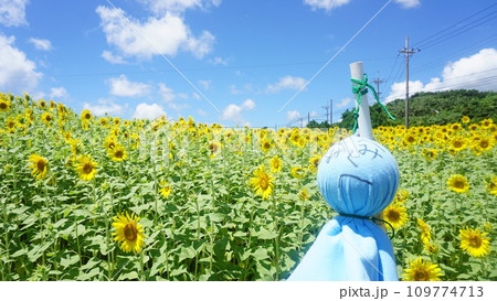 ひまわり畑とテルテル坊主 109774713