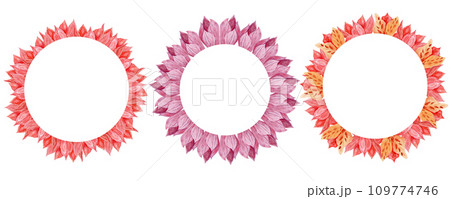 Watercolor set of flower wreaths, compositions with magnolia, cymbidium, alstroemeria. Botanical hand drawn illustration with flowers in circle 109774746