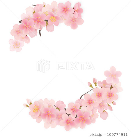 ソメイヨシノ　桜　花　フレーム素材 109774911