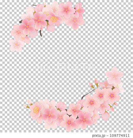 ソメイヨシノ　桜　花　フレーム素材 109774911