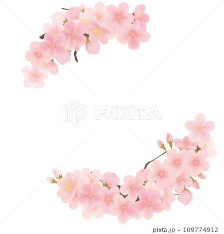 ソメイヨシノ　桜　花　フレーム素材 109774912