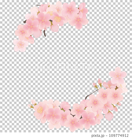 ソメイヨシノ　桜　花　フレーム素材 109774912