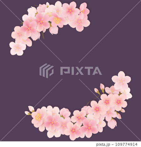 ソメイヨシノ 桜 花 フレーム素材 ソメイヨシノ 桜 花 フレーム素材 109774914