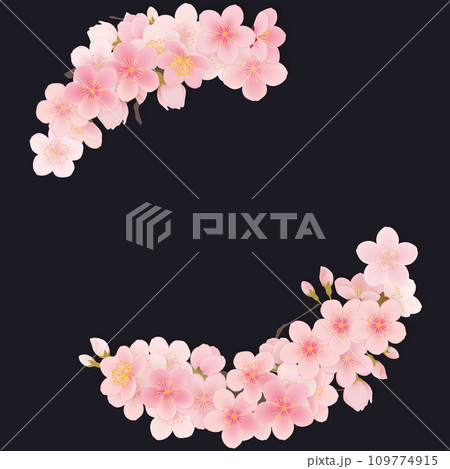 ソメイヨシノ 桜 花 フレーム素材 ソメイヨシノ 桜 花 フレーム素材 109774915