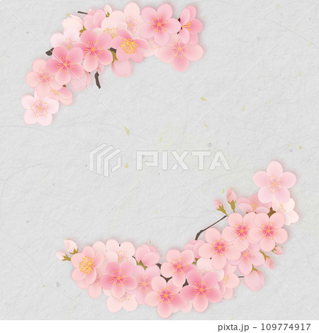 ソメイヨシノ 桜 花 フレーム素材 ソメイヨシノ 桜 花 フレーム素材 109774917