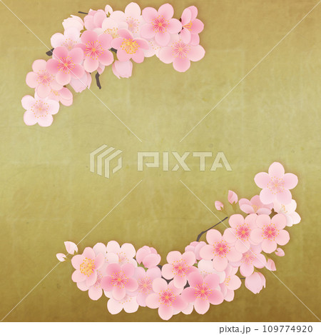 ソメイヨシノ　桜　花　フレーム素材 109774920