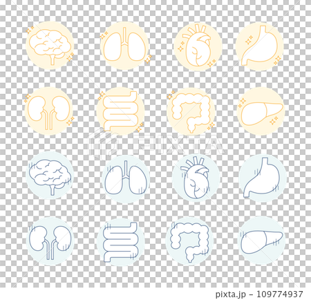 健康的內臟，不健康的器官，插圖，線條畫，簡單的設計，健康，大腦，肺，心臟，胃，腸道 109774937