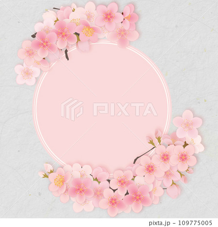 ソメイヨシノ 桜 花 フレーム素材 ソメイヨシノ 桜 花 フレーム素材 109775005