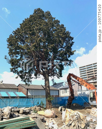建物解体　ユンボと瓦礫 109775410