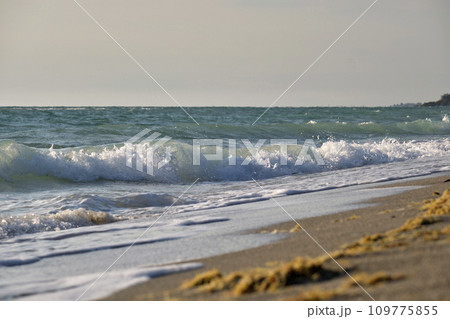Seaside sand beach with foamy waves crushing on shore Seaside sand beach with foamy waves crushing on shore 109775855