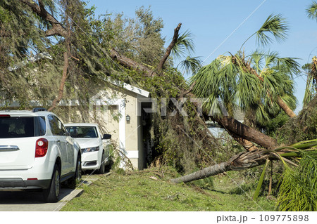 Hurricane damage to a house roof in Florida. Fallen down big tree after tropical storm winds. Consequences of natural disaster 109775898