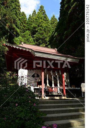 日本で一番深い湖 田沢湖 日本で一番深い湖 田沢湖 109776142