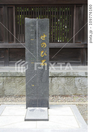 せのび石（阿蘇神社／熊本県阿蘇市一の宮町宮地3083-1） 109776160