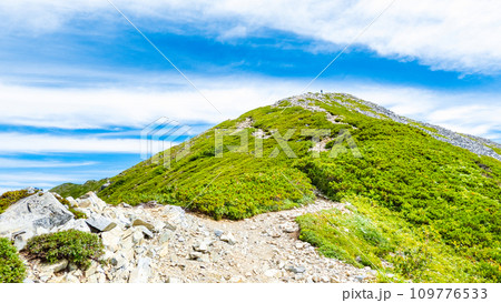 夏の爺ヶ岳登山(爺ヶ岳南峰) 夏の爺ヶ岳登山(爺ヶ岳南峰) 109776533