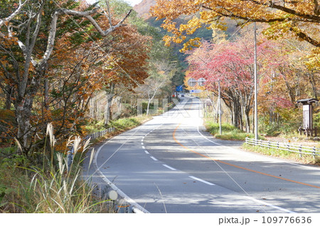 奥飛騨温泉郷平湯 紅葉の風景 奥飛騨温泉郷平湯 紅葉の風景 109776636