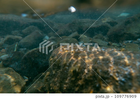 play in the river 109776909