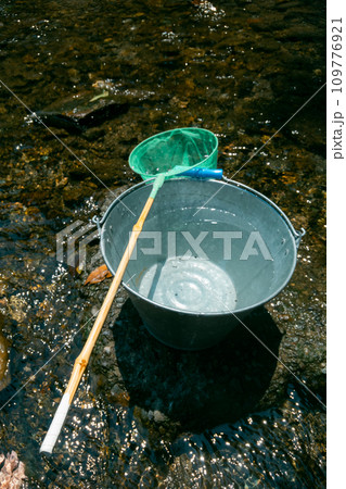 play in the river play in the river 109776921