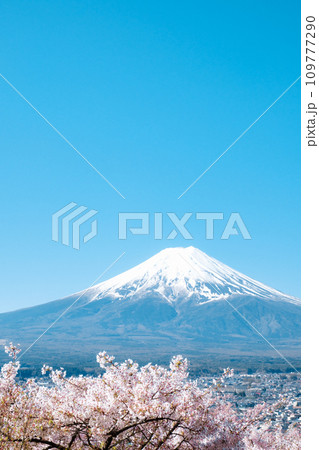 桜と富士山（新倉山浅間公園） 109777290