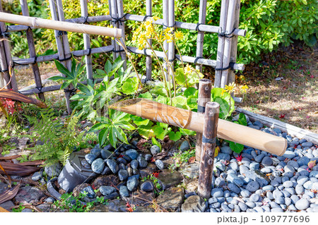 秋の神戸市・相楽園の日本庭園のししおどし 109777696