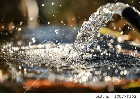 山の湧き水 109778302