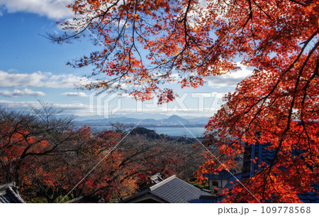 滋賀県大津市の西教寺境内から見える琵琶湖と秋景色 滋賀県大津市の西教寺境内から見える琵琶湖と秋景色 109778568