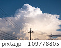 夏の終わりの田舎の空 109778805