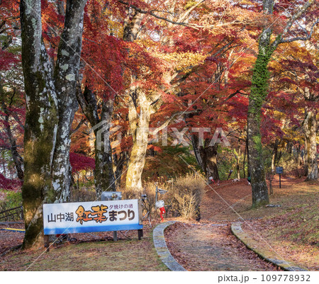 山中湖紅葉まつり 山中湖紅葉まつり 109778932