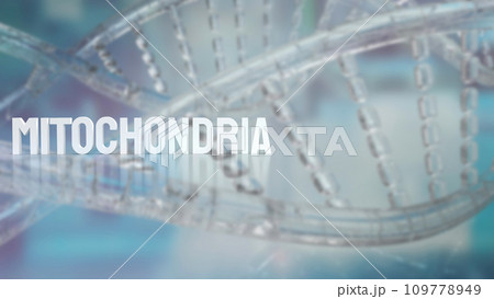 The Mitochondria for sci or health concept 3d rendering 109778949