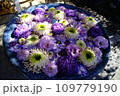 水に浮かぶ花手水 109779190