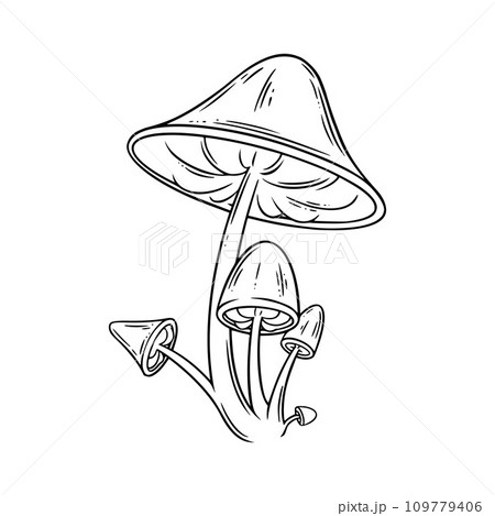 Poison mushrooms. Psychedelic mushrooms for wicca rituals. Vector illustration Poison mushrooms. Psychedelic mushrooms for wicca rituals. Vector illustration 109779406