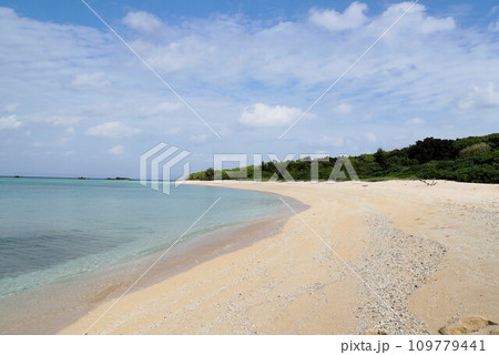 浜シタン群落のビーチ　波照間島 109779441