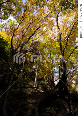 釈尊寺参道の風景 釈尊寺参道の風景 109779470