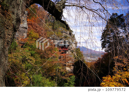 釈尊寺の紅葉 109779572