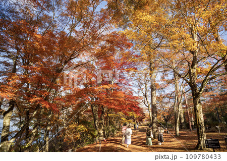 山中湖　夕焼けの渚・紅葉まつり　会場内の風景 109780433