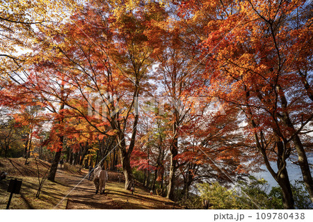山中湖　夕焼けの渚・紅葉まつり　会場内の風景 109780438