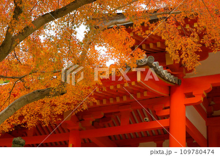 世界遺産 春日大社 南門の紅葉 世界遺産 春日大社 南門の紅葉 109780474