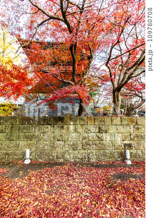 安勝寺の紅葉　【長崎県諫早市】 109780708