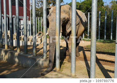 動物と触れ合える「しろとり動物園」 109780776