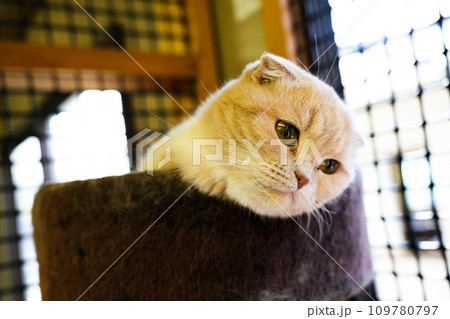 動物と触れ合える「しろとり動物園」 109780797