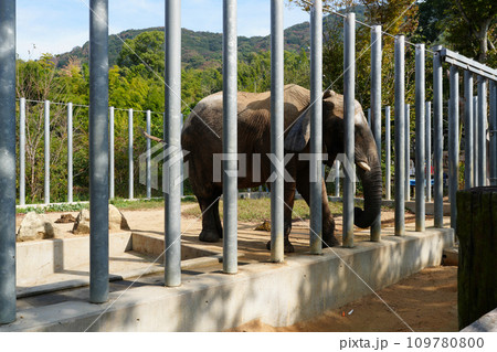 動物と触れ合える「しろとり動物園」 動物と触れ合える「しろとり動物園」 109780800